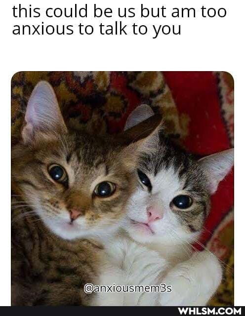 this could be us but am too anxious to talk to you
(@anxiousmem3s