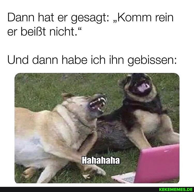 Dann hat er gesagt: "Komm rein er beißt nicht."
Und dann habe ich ihn gebissen:
Hahahaha