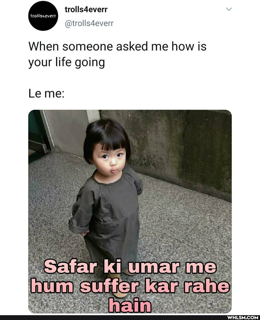@wwolls4everr
When someone asked me how is your life going
Le me: