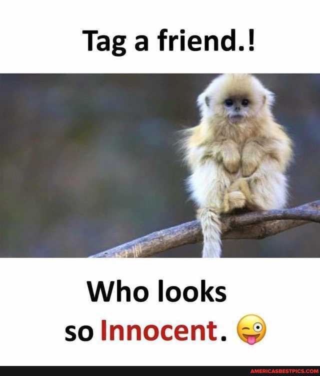 Tag a friend.!
Who looks so Innocent.