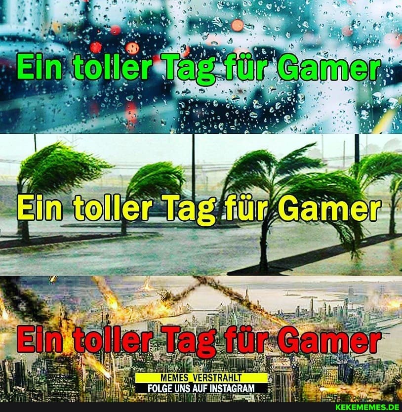 EGELGE INS AUF INSTACRAM -