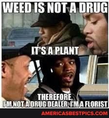 WEED 15 HOT A DRUG
PLANT