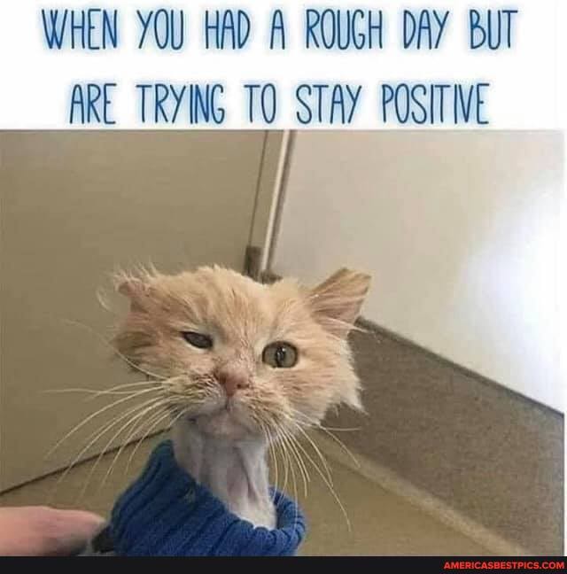 WHEN YOU HAD A ROUGH DAY BUT TRYING TO STAY POSITIVE