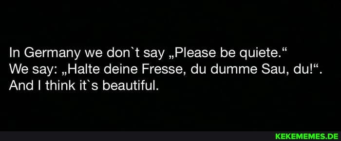 In Germany we don't say ,,Please be quiete."
We say: ,,Halte deine Fresse, du dumme Sau, du!".
And I think it's beautiful.