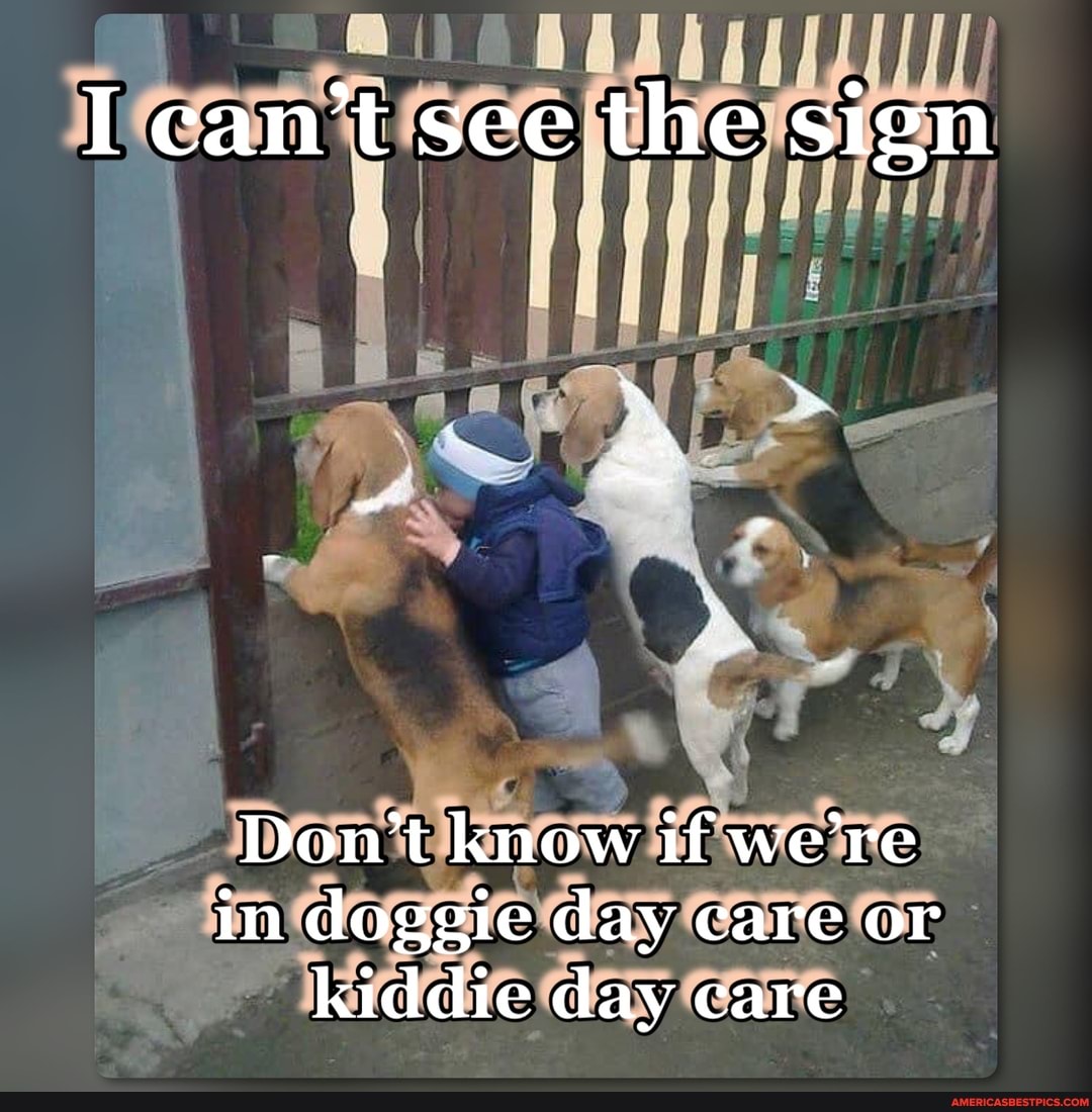 I can't see the sign
Don't know tf we're in doggie day care or kiddie day care
