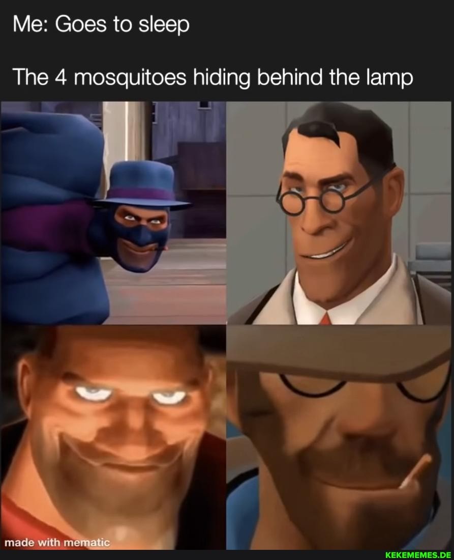 Me: Goes to sleep
The 4 mosquitoes hiding behind the lamp
made with mematio