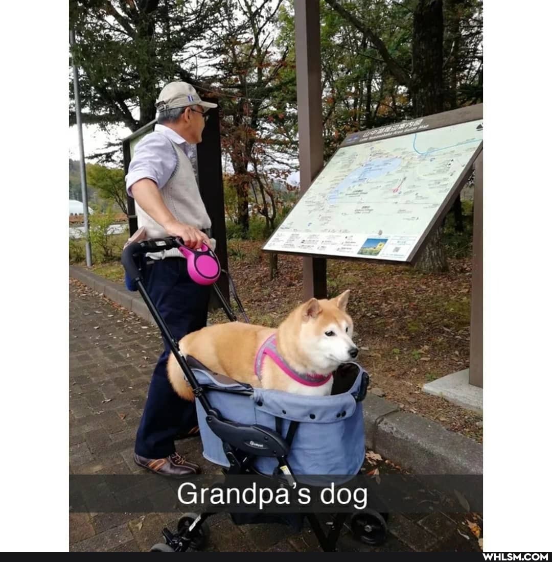 Grandpa's dog