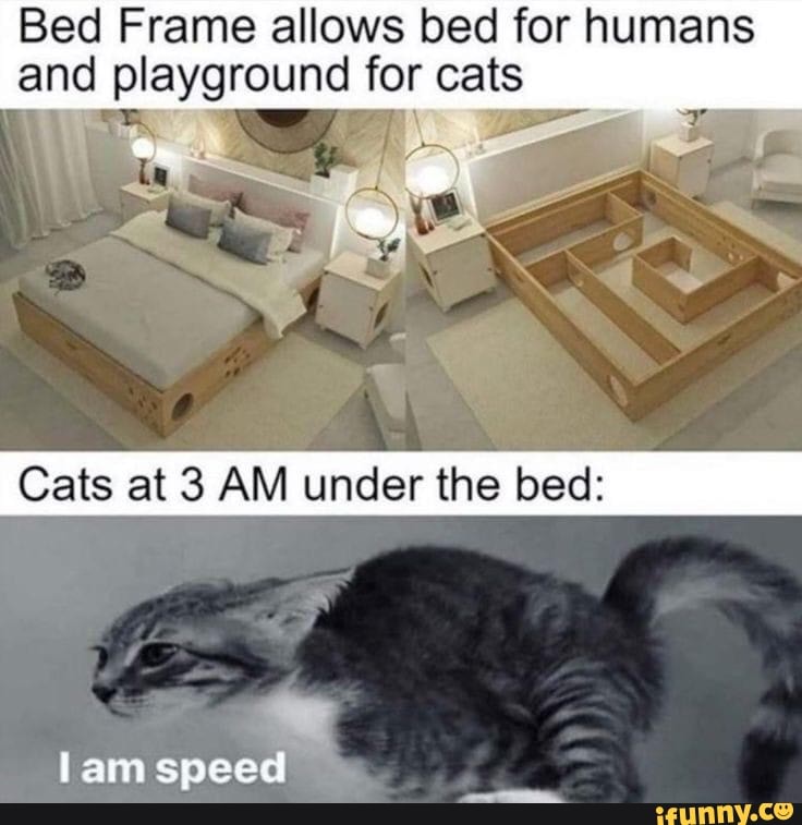 Bed Frame allows bed for humans and playground for cats Cats at 3 AM