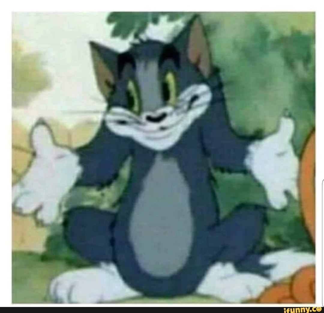 poo, reaction, poop, noon, jesus, cat, kitten, funny, gaypride, noon, sad, life, berserk