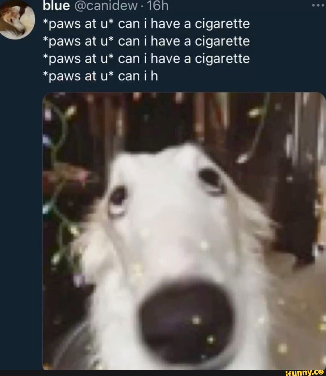paws at u can i have a cigarette Exploring the Furry Tattoo Trend in the Furry Community me