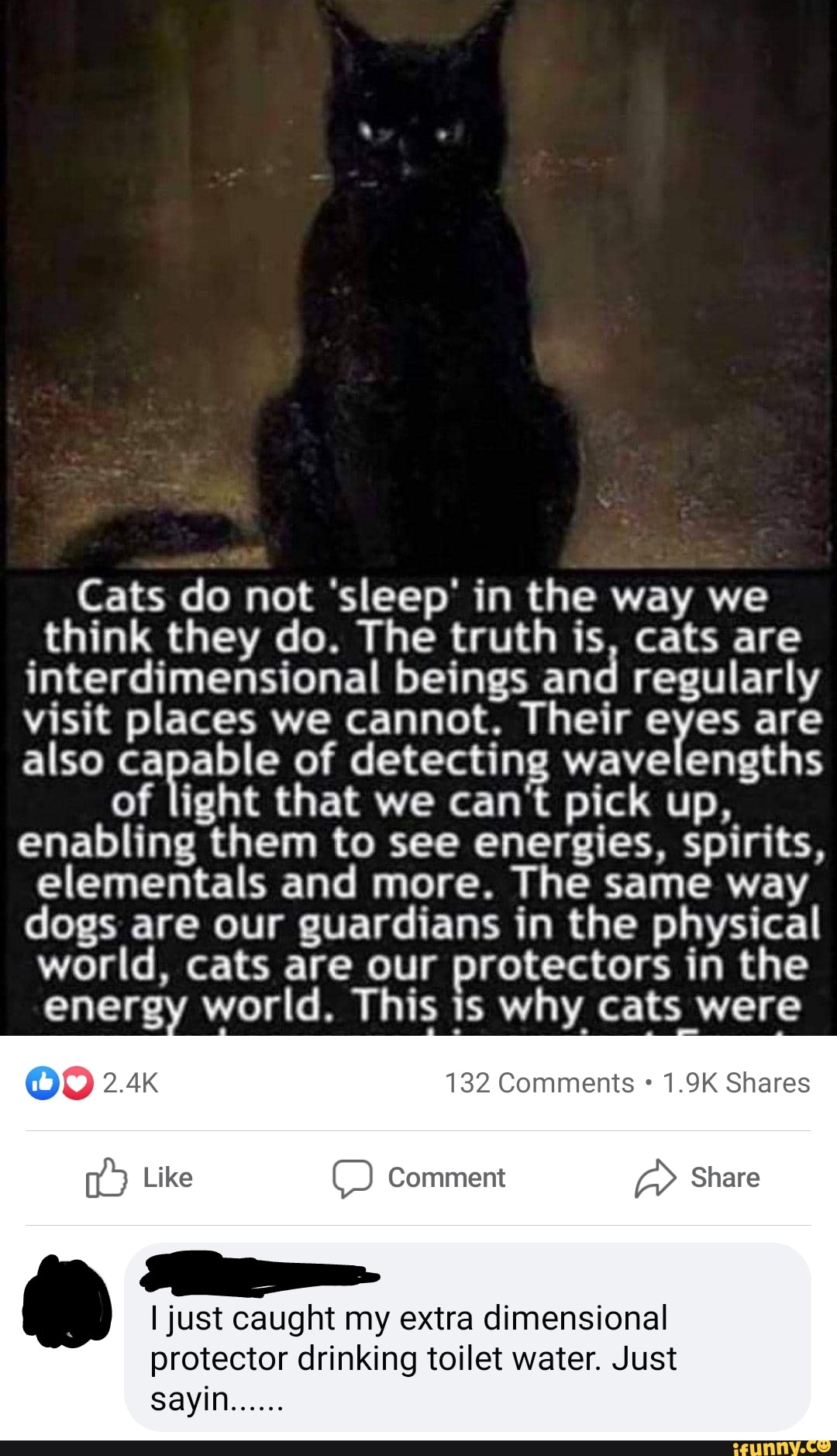 Cats do not 'sleep' in the way we think they do. The truth is, cats are interdimensional beings and regularly visit places we cannot. Their eyes are also capable of detecting wavelengths of light that we can't pick up, enabling them to see energies, spirits, elementals and more. The same way dogs are our guardians in the physical world, cats are our protectors in the energy world. This is why cats were
OO 2.4k 132 Comments 1.9K Shares
Like ) Comment Share
I just caught my extra dimensional protector drinking toilet water. Just