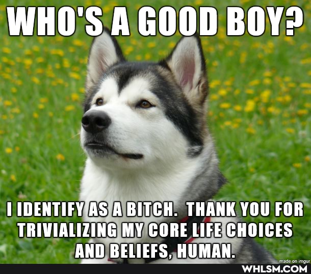 WHO'S A GOOD BOY?
IDENTIFY AS A BITCH. THANK YOU FOR TRIWIALIZING MY CORE LIFE CHOICES
AND BBEIIEEC DIMAW