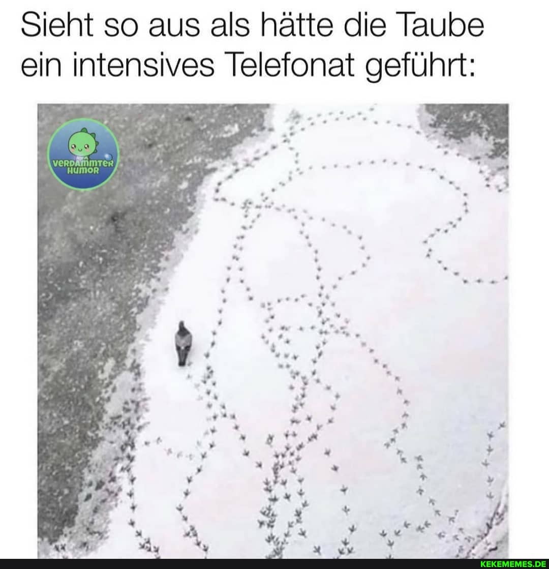 Sieht so aus als hätte die Taube ein intensives Telefonat geführt: