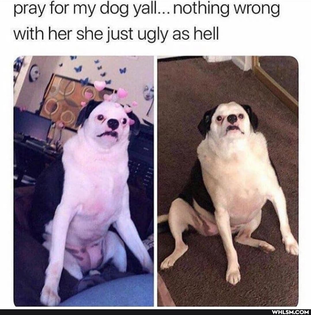 pray for my dog yall... nothing wrong with her she just ugly as hell