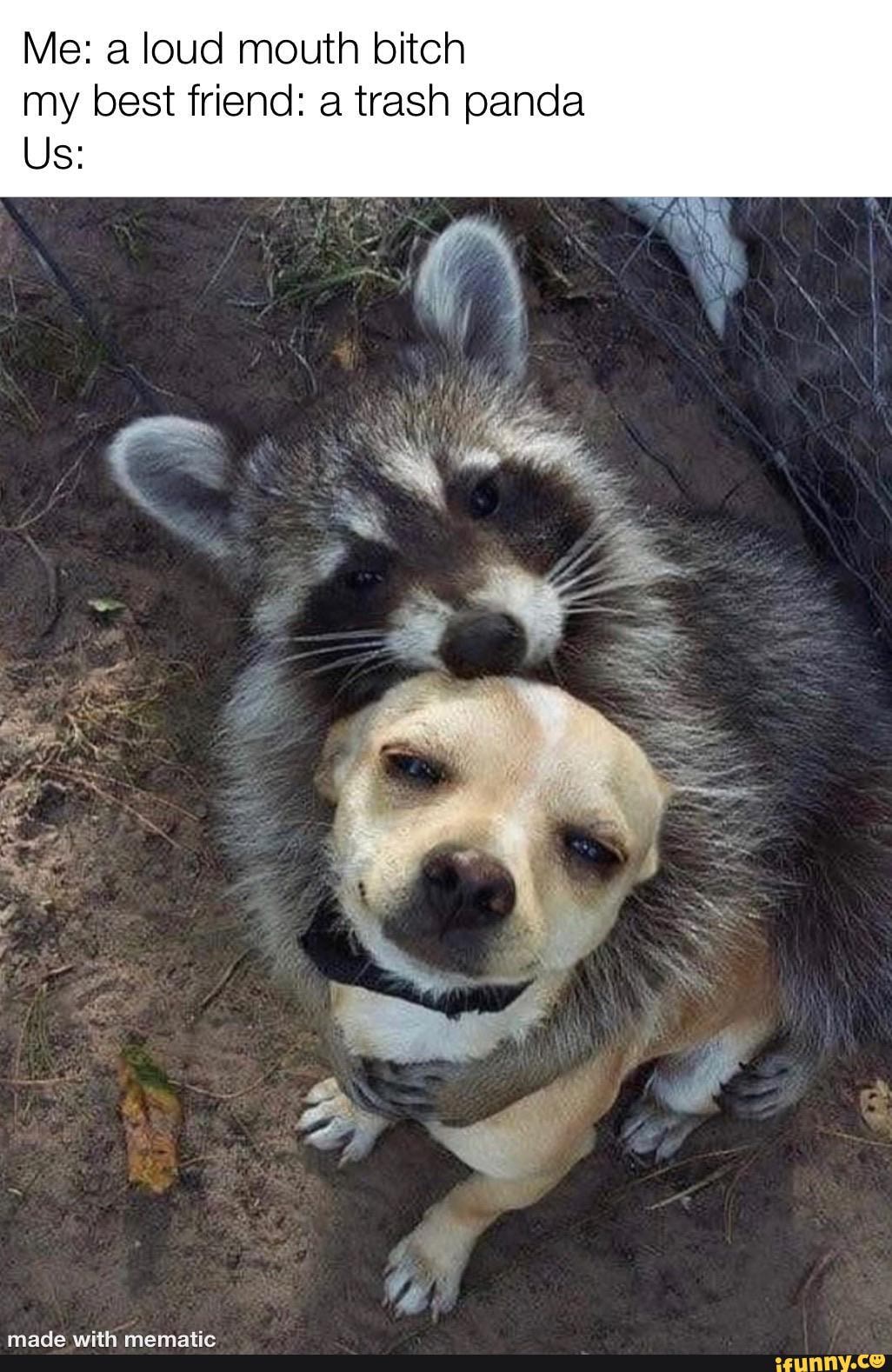 Me: a loud mouth bitch
my best friend: a trash panda