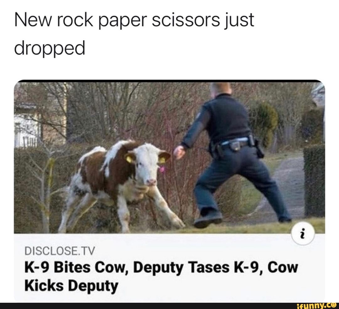 New rock paper scissors just dropped
DISCLOSE. TV
Bites Cow, Deputy Tases Cow
Kicks Deputy