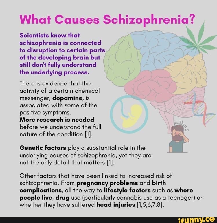 research on causes of schizophrenia strongly suggests that