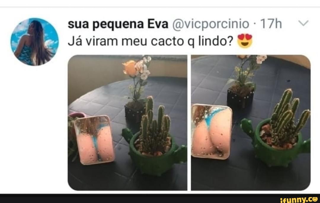 sua pequena Eva (dvicporcinio -
Já viram meu cacto q lindo?