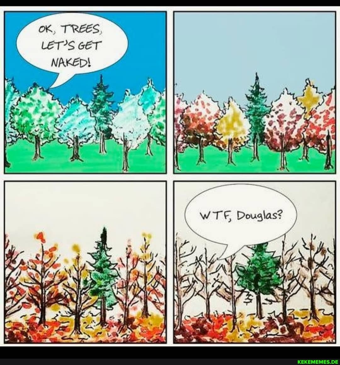 wTE Douglas?