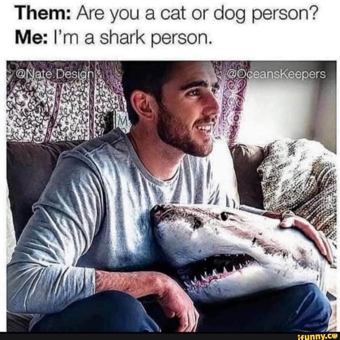Them: Are you a cat or dog person?
Me: I'm a shark person.
