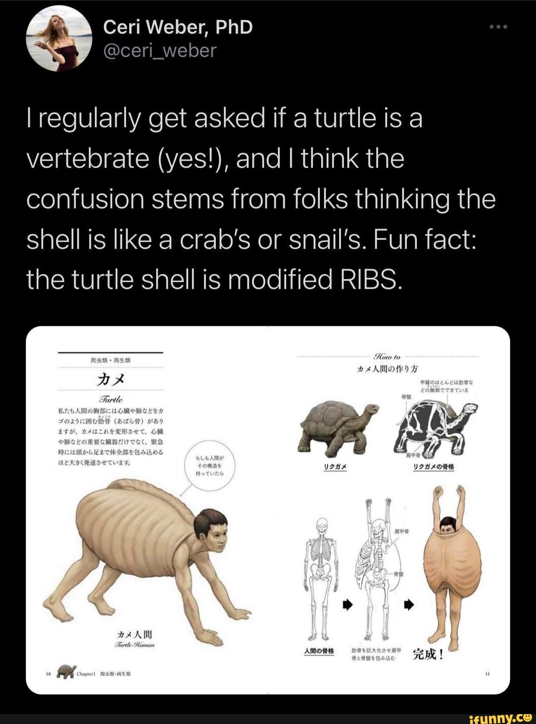 Stems Memes Best Collection Of Funny Stems Pictures On Ifunny