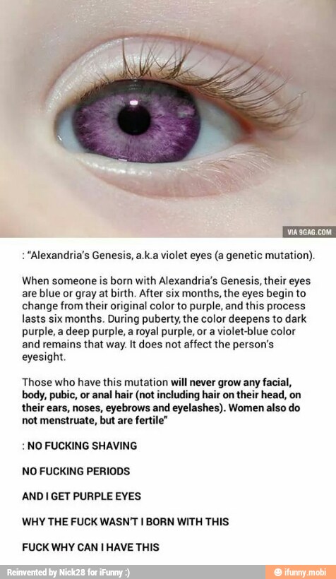 VIA 9GAG.COM "Alexandria's Genesis, a.k.a violet eyes (a genetic mutation),
When someone is born with Alexandria's Genesis, their eyes
are blue or gray at birth. After six months, the eyes begin to
change from their original color to purple, and this process
lasts six months. During puberty, the color deepens to dark
purple, a deep purple, a royal purple, or a violet-blue color
and remains that way. It does not affect the person's
eyesight.
Those who have this mutation will never grow any facial,
body, pubic, or anal hair (not including hair on their head, on
their ears, noses, eyebrows and eyelashes). Women also do
not menstruate, but are fertile" NO FUCKING SHAVING
NO FUCKING PERIODS
AND I GET PURPLE EYES
WHY THE FUCK WASN'T I BORN WITH THIS
FUCK WHY CAN I HAVE THIS