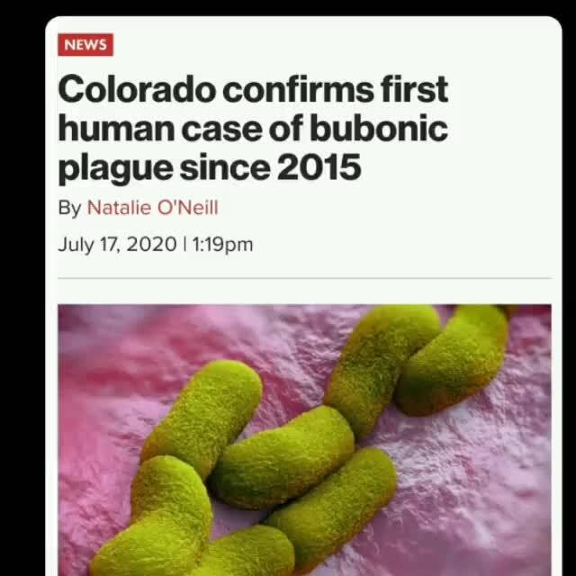 Uh oh it's the virus Colorado confirms first human case of bubonic