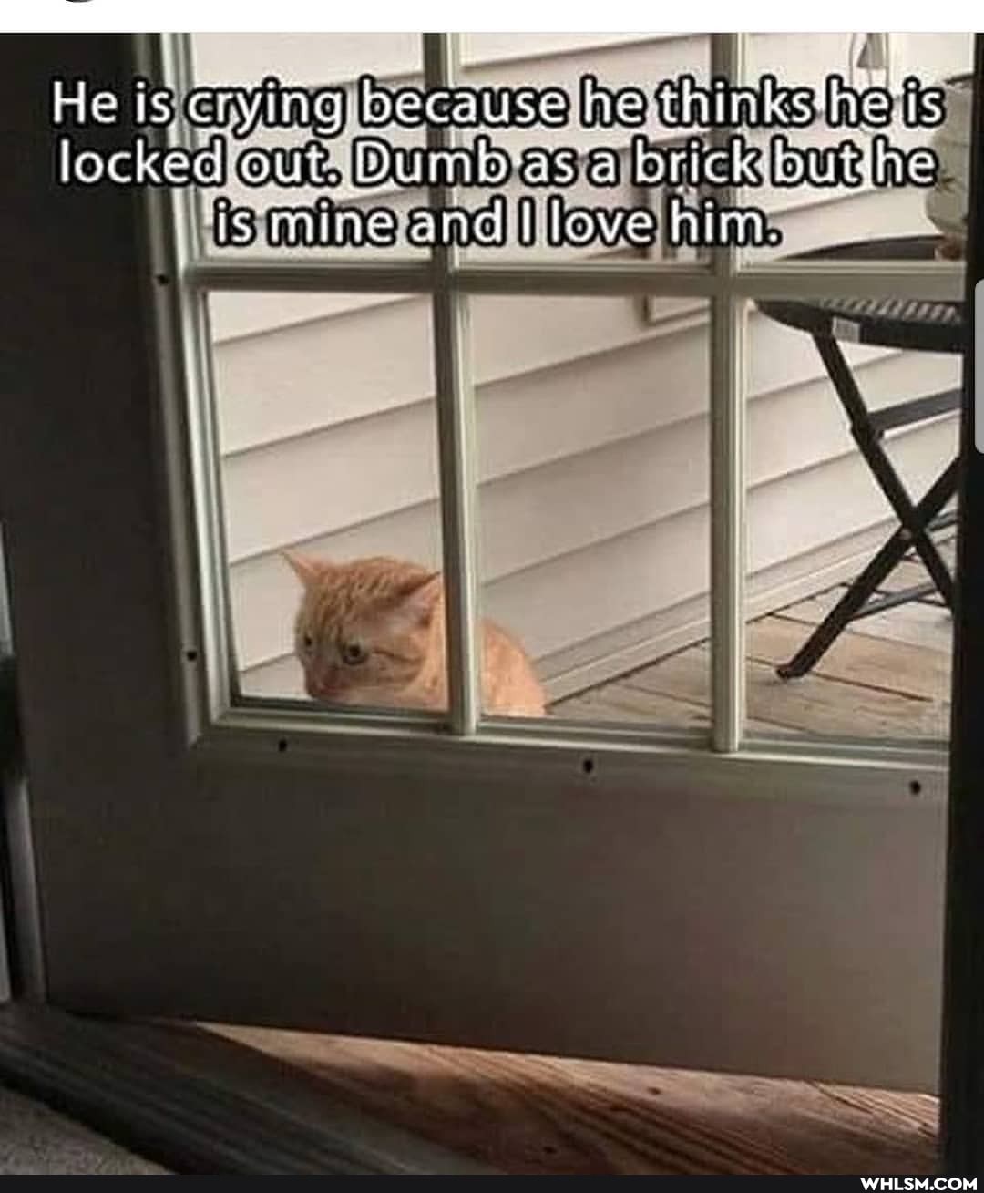 locked out. Dum asa brit ismine and I love him.