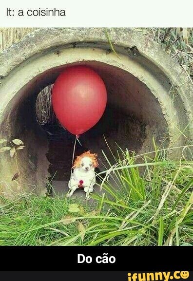 kt: a coisinha - Do cão