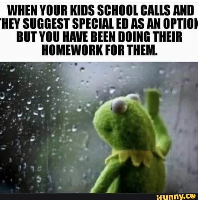 WHEN YOUR KIDS SCHOOL CALLS AND HEY SUGGEST SPECIAL ED AS AN OPTIO BUT ...