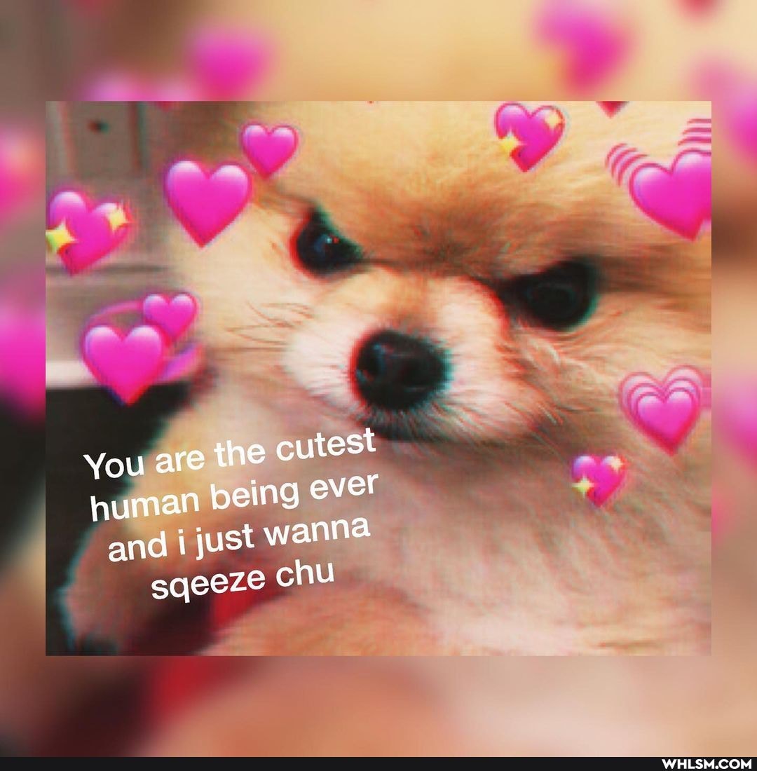 You are the cutest
human being ever
and i just wann@ sqeeze chu
