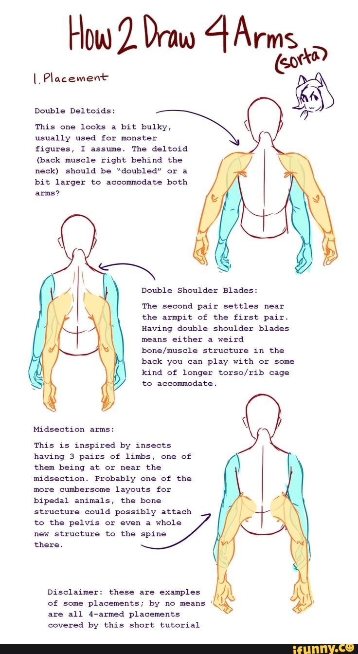 How Draw Arms I, Placement Double Deltoids: This one looks a bit bulky ...