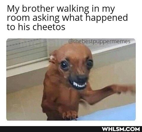 My brother walking in my room asking what happened to his cheetos