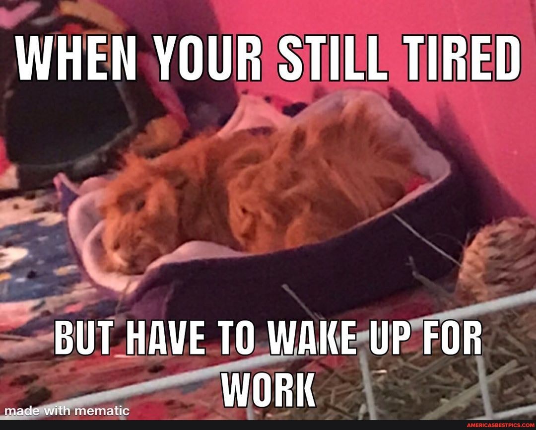 WHEN YOUR) STIEE TIRED
BUT 'AVE TO.WAKE-UP WORK