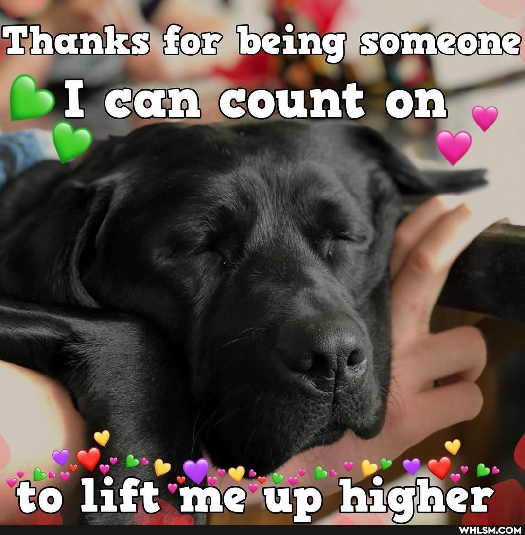 Thanks for being someone
I can count on
to lift me up hiGher