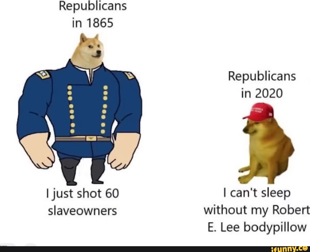 Bodypillow memes. Best Collection of funny Bodypillow pictures on iFunny