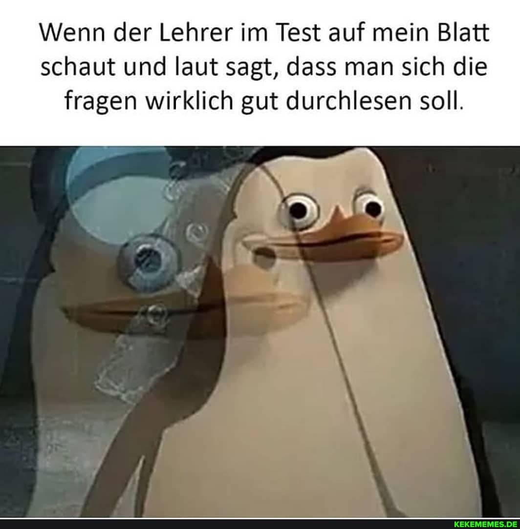 Wenn der Lehrer im Test auf mein Blatt schaut und laut sagt, dass man sich die fragen wirklich gut durchlesen soll.