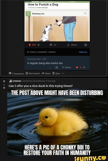 Can Toffer you a nice duck in this trying times?
THE POST ABOVE MIGHT HAVE BEEN DISTURBING