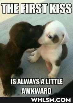 THE'FIRST KISS
IS ALWAYS A LITTLE