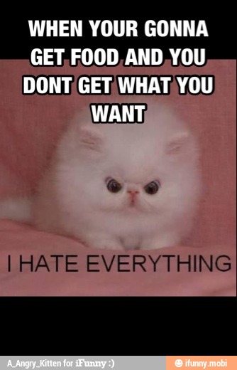 WHEN YOUR GONNA