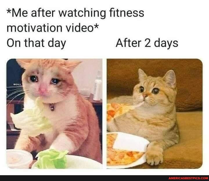*Me after watching fitness motivation video*
On that day After 2 days