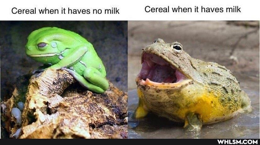 Cereal when it haves no milk Cereal when it haves milk