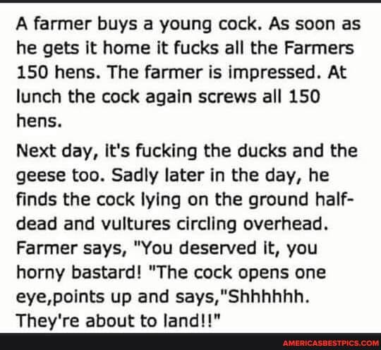 A farmer buys a young cock. As soon as he gets it home it fucks all the Farmers
150 hens. The farmer is impressed. At lunch the cock again screws all 150 hens.
Next day, It's fucking the ducks and the geese too. Sadly later in the day, he finds the cock lying on the ground half- dead and vultures circling overhead.
Farmer says, "You deserved it, you horny bastard! "The cock opens one eye,points up and
Trasstee mm
