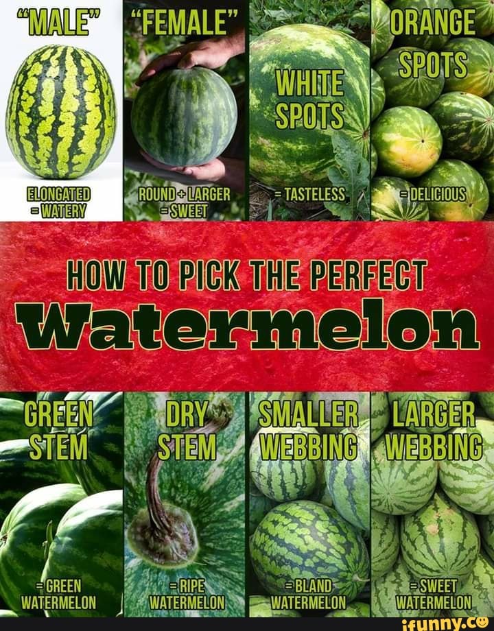 PICK THE FERFET
"GREEN
GREEN
si
ty