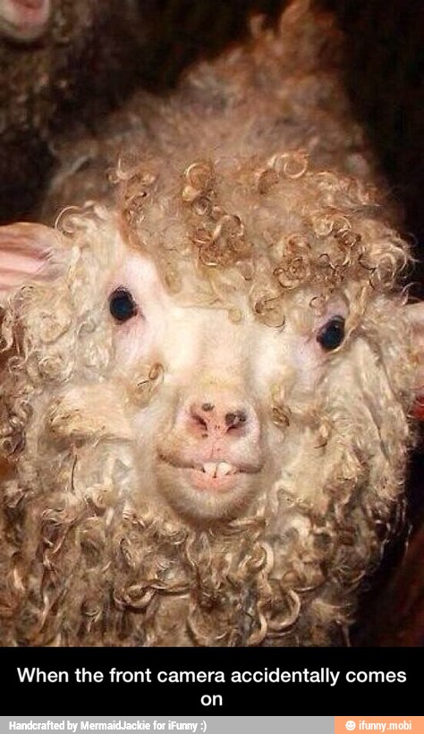 When the front camera accidentally comes
on - When the front camera accidentally comes on