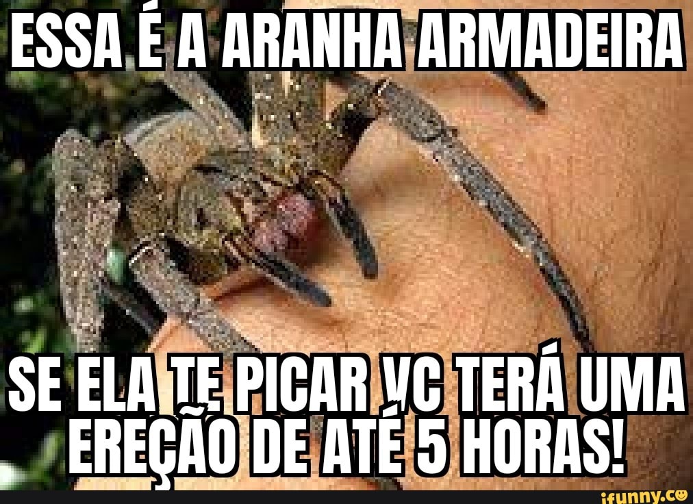 ESSA É ARANHA ARMADEIRA
SE ELA TE PICAR Ta TERÁ UMA EREÇÃO DE ATÉ 5 HORAS!