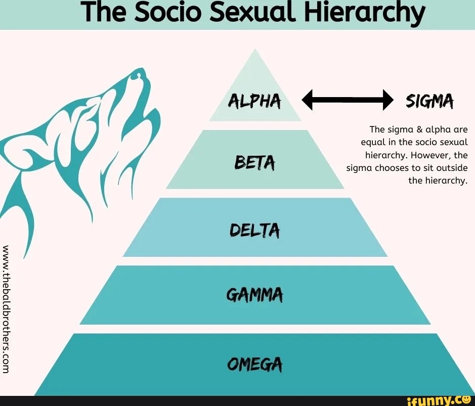 The Socio Sexual Hierarchy ALPHA SIGMA The sigma & alpha are equal in ...