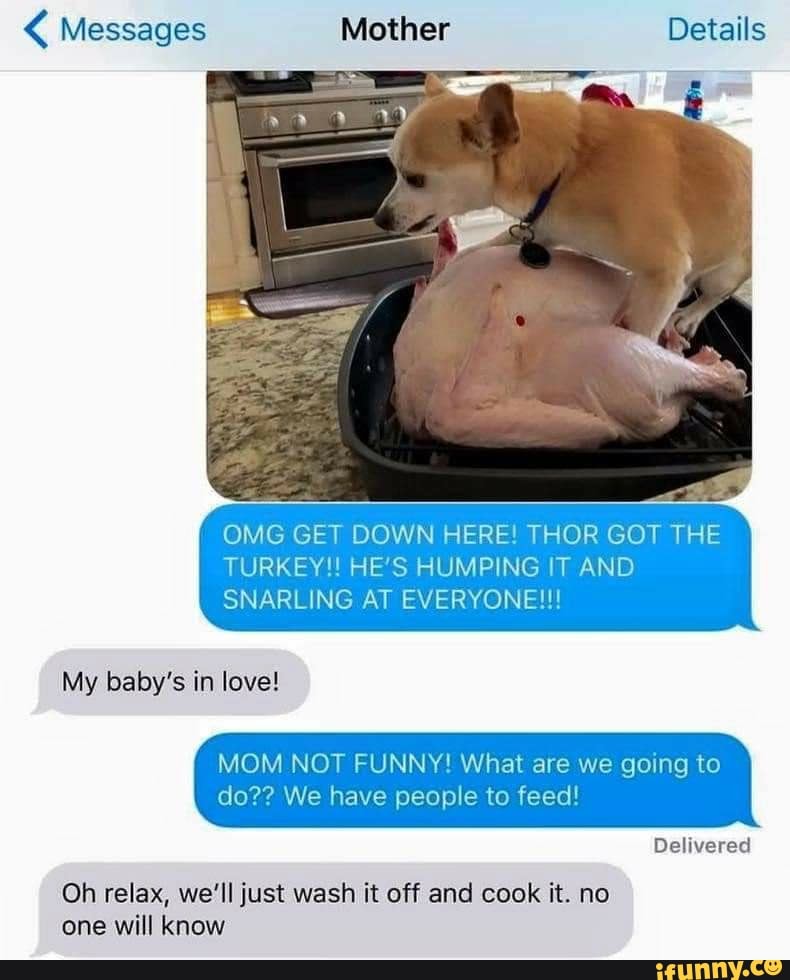 < Messages Mother Details
OMG GET DOWN HERE! THOR GOT THE TURKEY!! HE'S HUMPING IT AND SNARLING AT EVERYONE!!!
My baby's in love!
MOM NOT FUNNY! What are we going to do?? We have people to feed!
Delivered
Oh relax, we'll just wash it off and cook it. no one will know