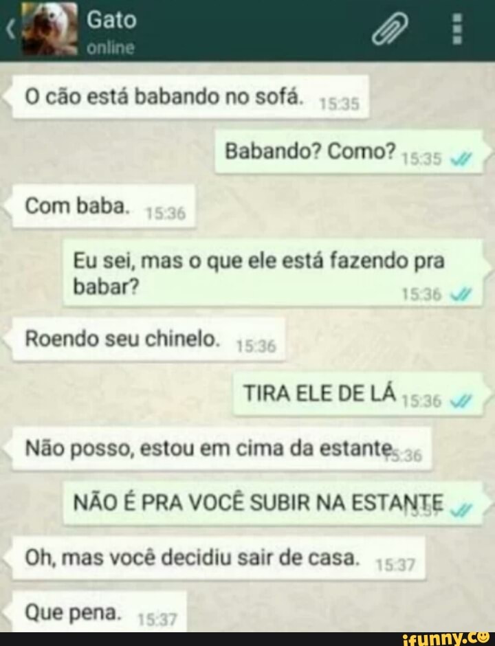 O cão está babando no sofá
Babando? Como?
Com baba
Eu sei, mas o que ele está fazendo pra
babar?
Não posso, estou em cima da estante
NÃO É PRA VOCÊ SUBIR NA ESTANTE
Oh, mas você decidiu sair de casa
Que pena.