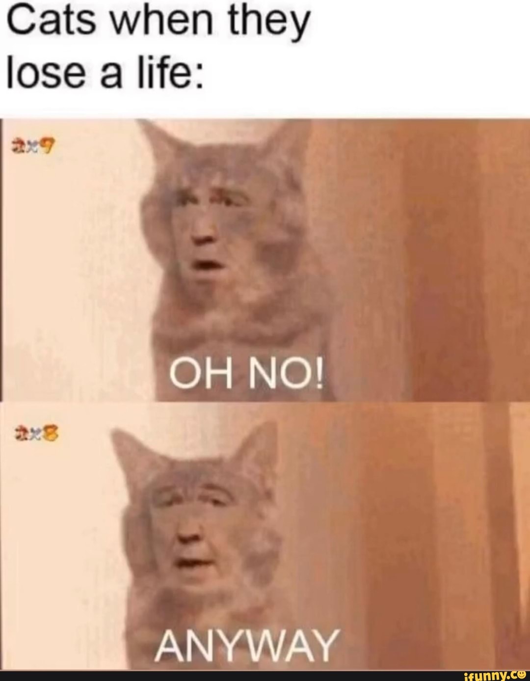 Cats when they lose a life:
NO!
ANYWAY